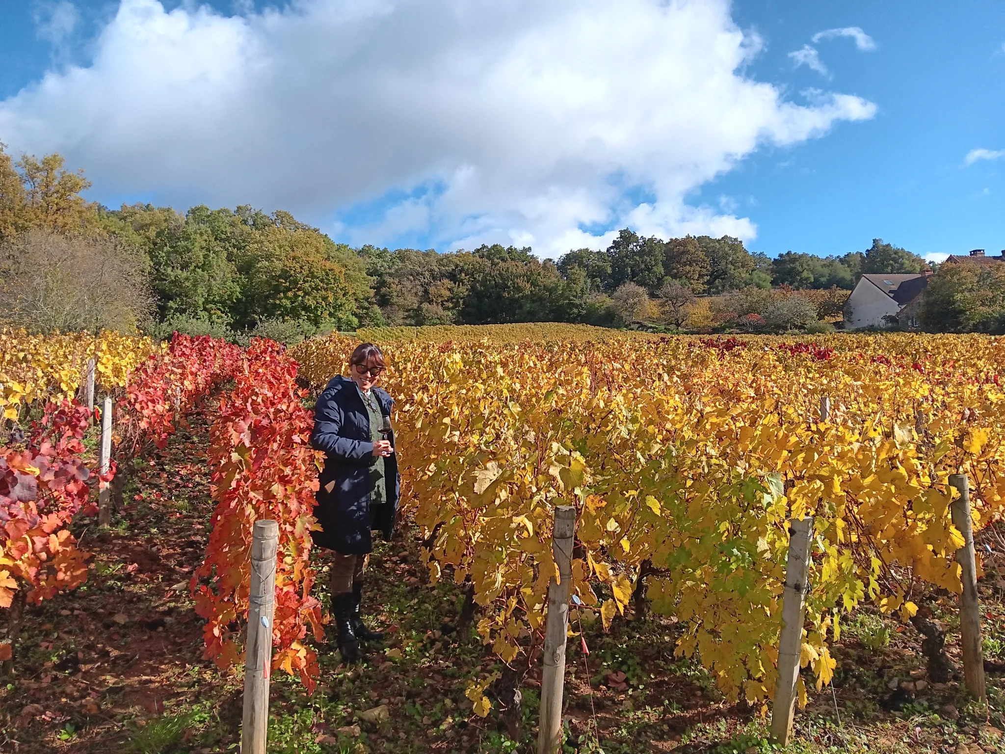 Private Tour in Dijon, Romain Bouchaud