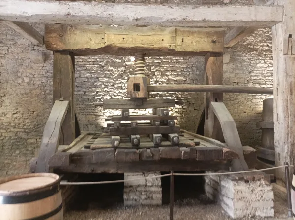 Rondleiding in Beaune inclusief wijnproeverij, Romain Bouchaud