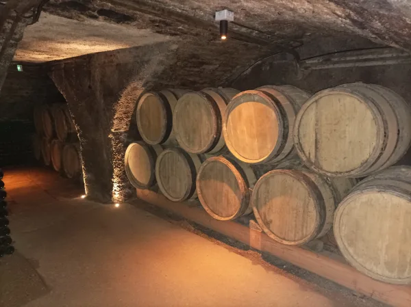 Rondleiding in Beaune inclusief wijnproeverij, Romain Bouchaud