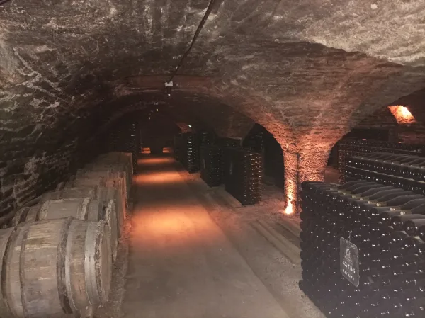 Vinska tura v Burgundiji, Vinska tura iz Dijona, Romain Bouchaud