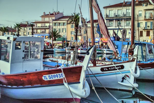 Tur ghidat la Cannes, Romain Bouchaud