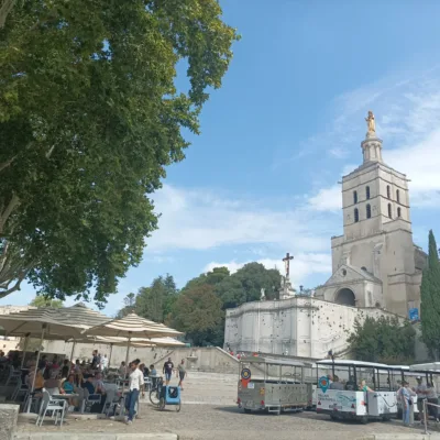 Guided tour in Avignon – 2 hours