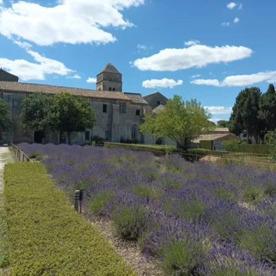 Guided tour in Saint-Rémy-de-Provence – 2 hours