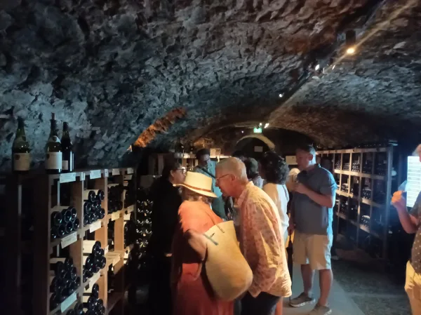Rondleiding in Beaune inclusief wijnproeverij, Romain Bouchaud