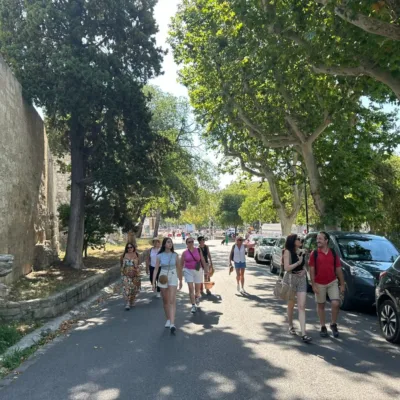 Guidad rundtur i Arles inklusive de romerska monumenten – 3 timmar