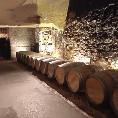 Guidad tur i Saint-Emilion – 2 timmar