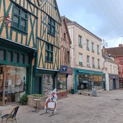 Auxerre Tour Guide
