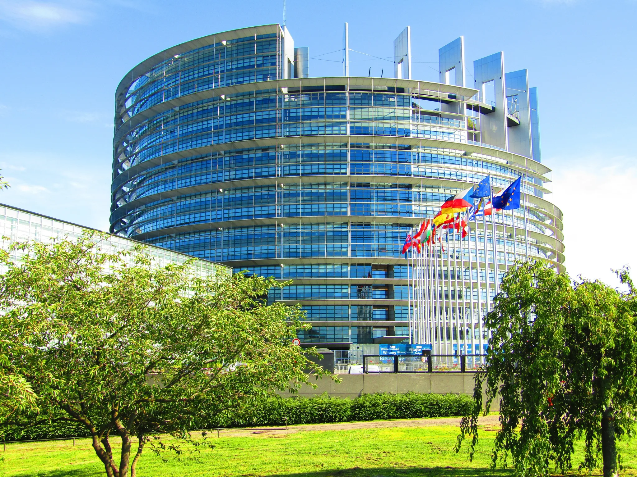 Visit the European parliament in Strasbourg, Ромен Бушо
