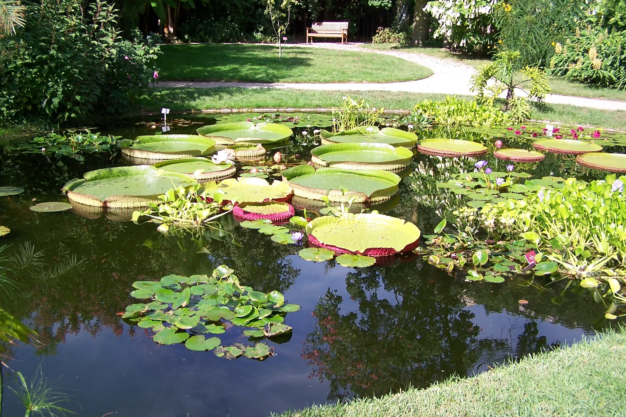 Visit the gardens of Menton
