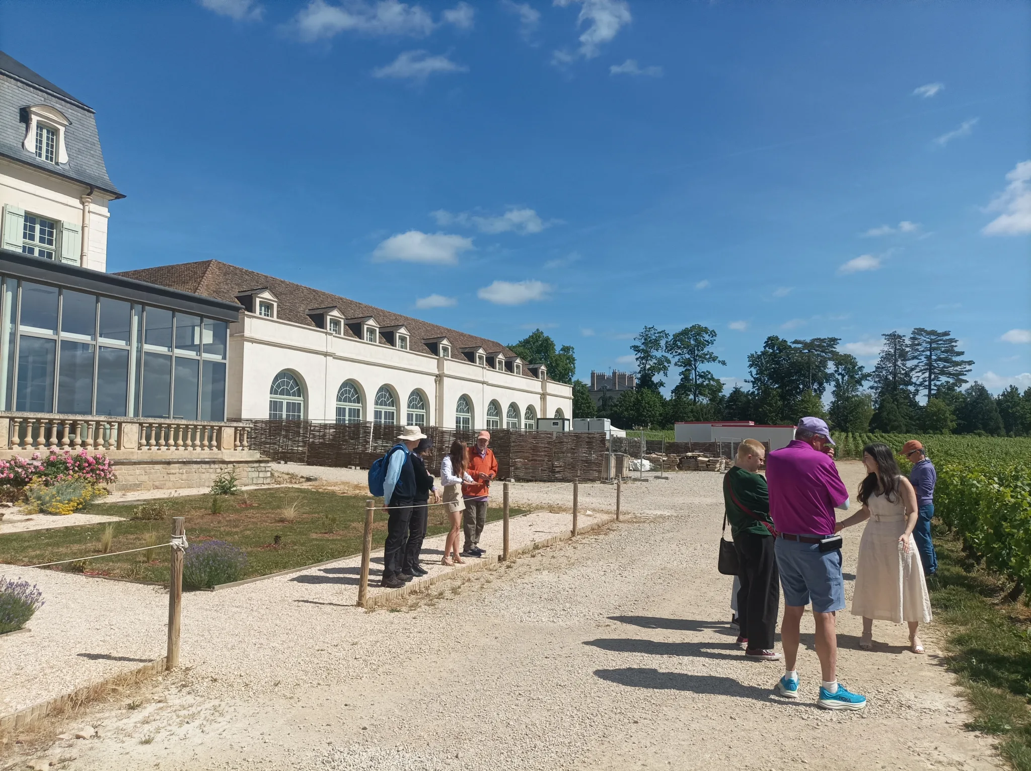 Weintour in Burgund, Romain Bouchaud