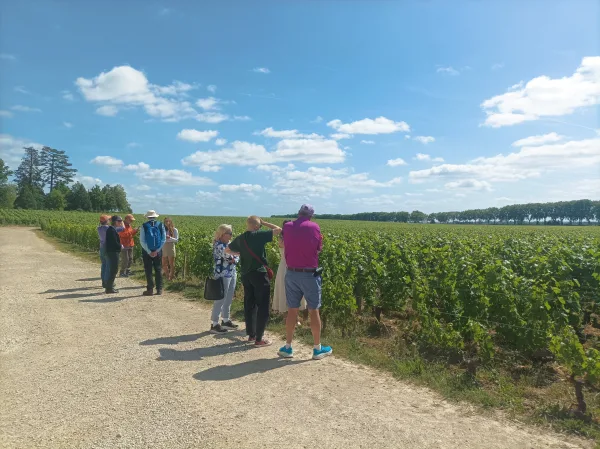 Wine tasting in Beaune, Romain Bouchaud