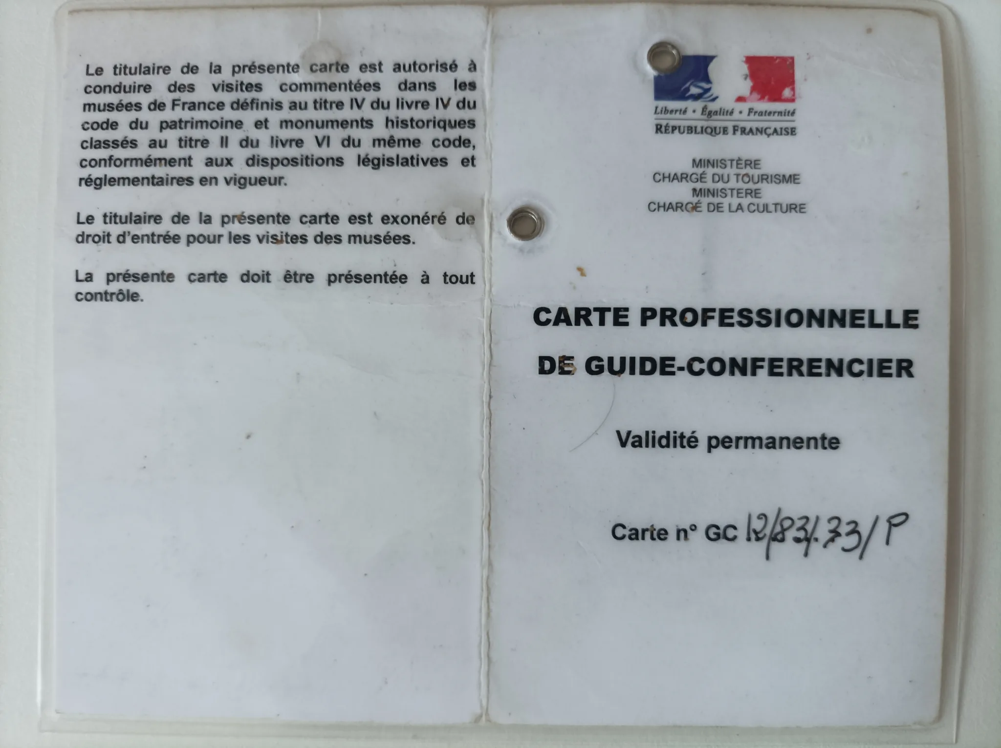 Official tour guide in France