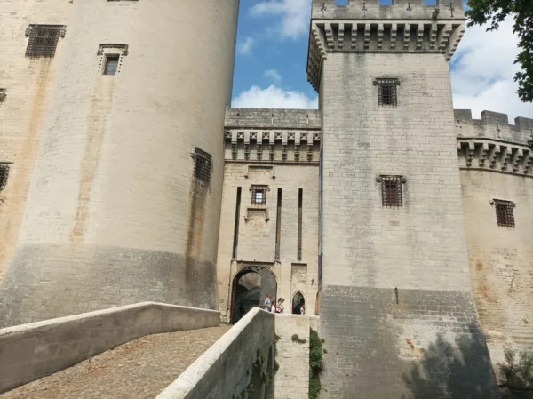 Guided tour of Tarascon