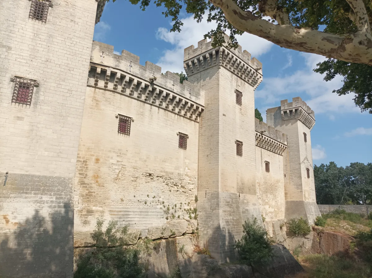 Chuyến tham quan có hướng dẫn tại Tarascon